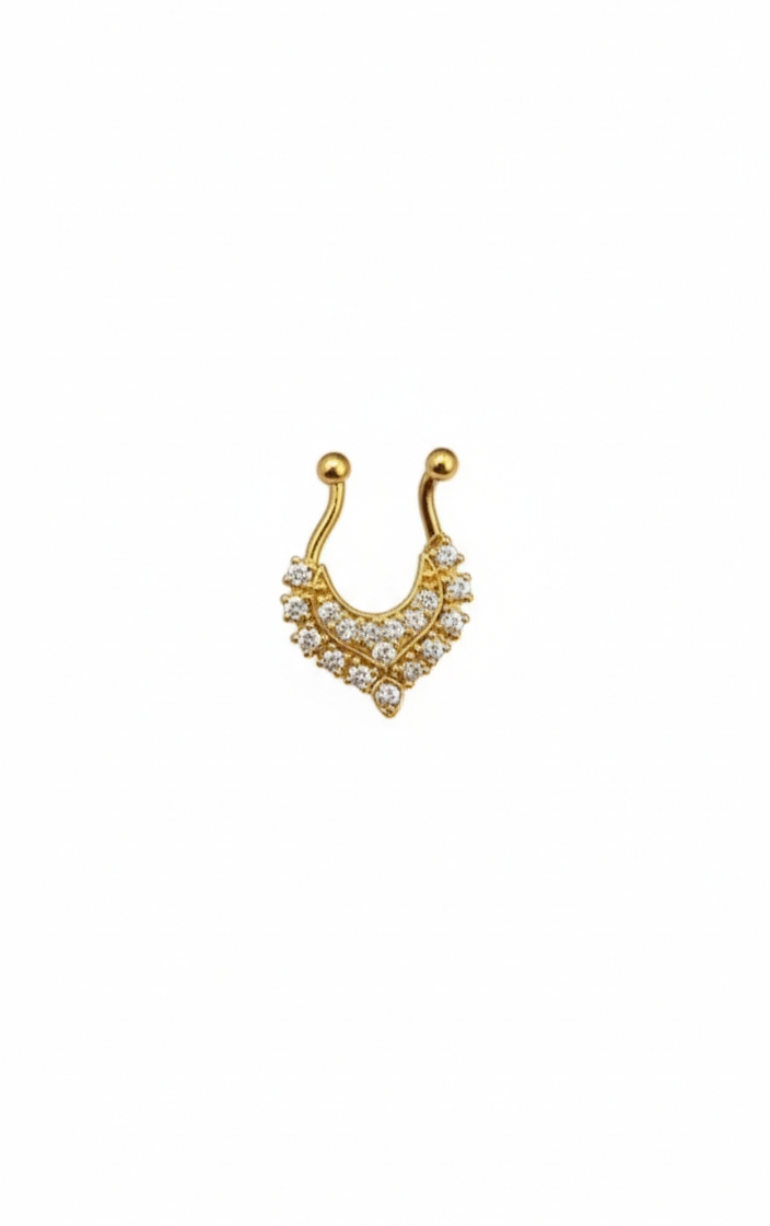 Septum nosepin